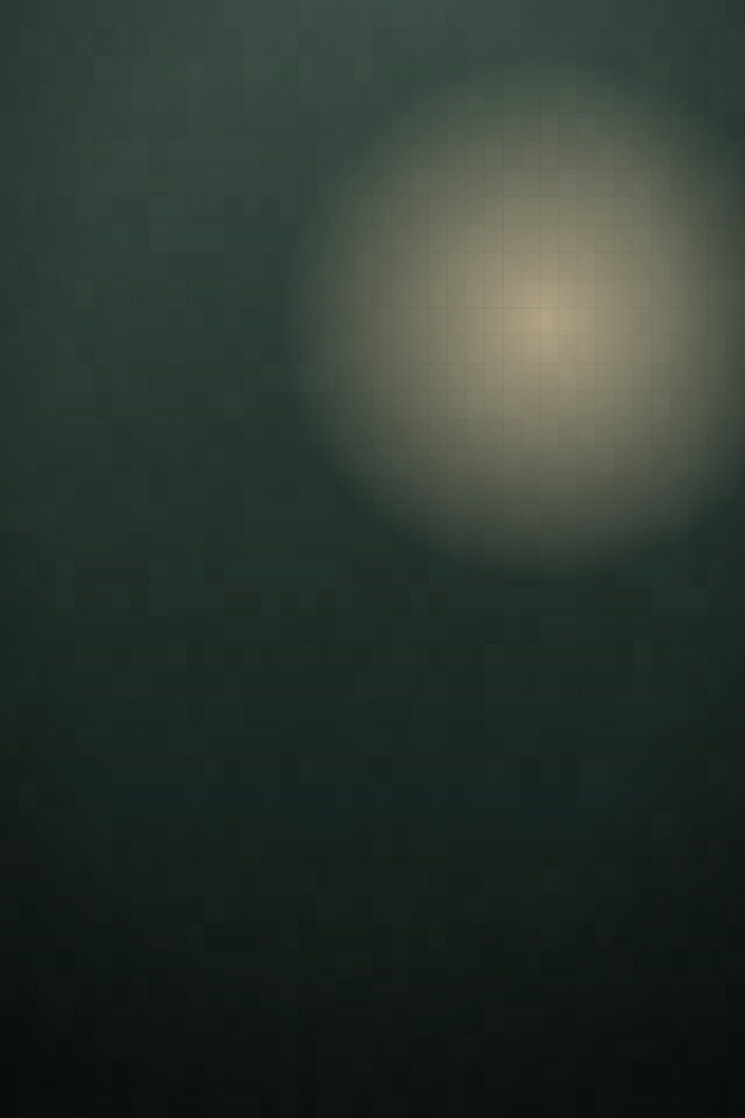 Um instante que ficou — Marina e Pedro